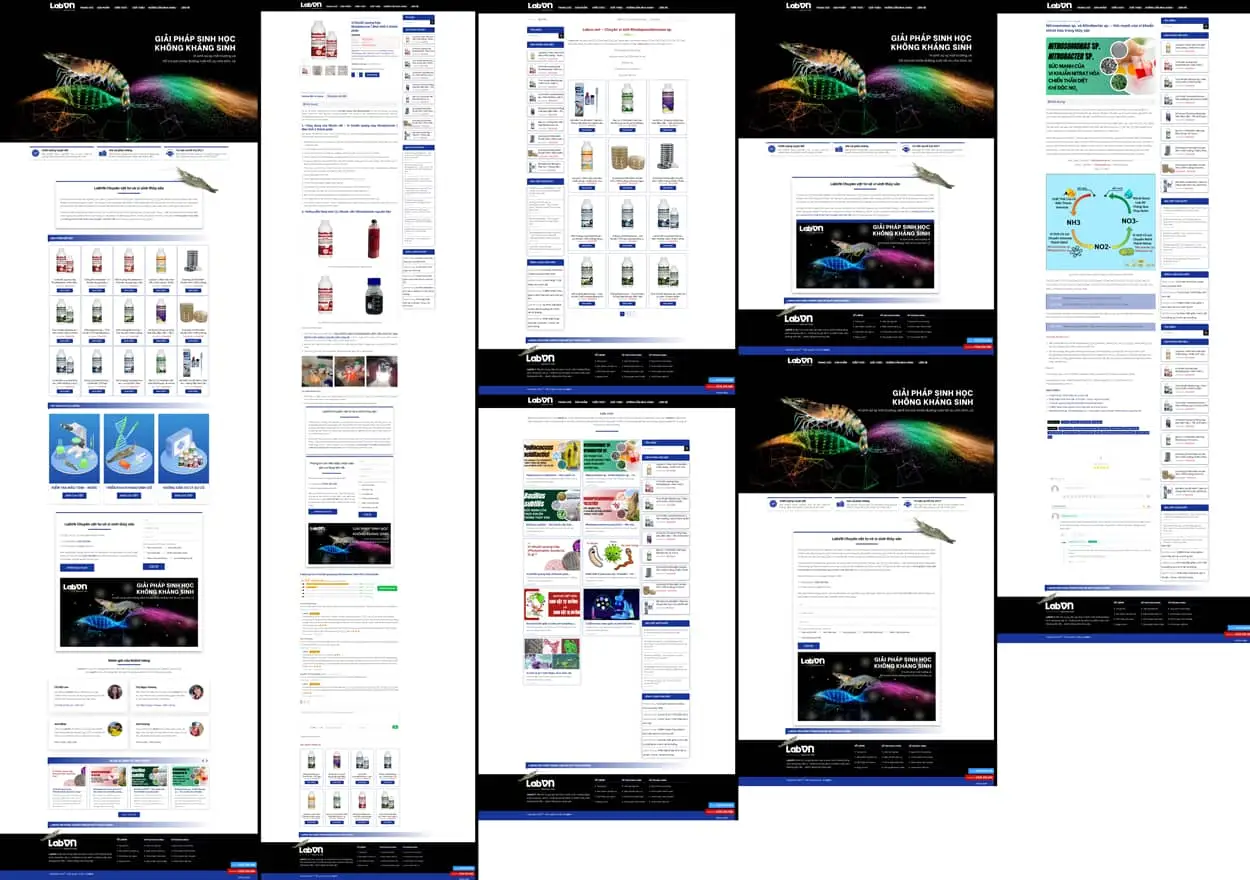 labvn-website